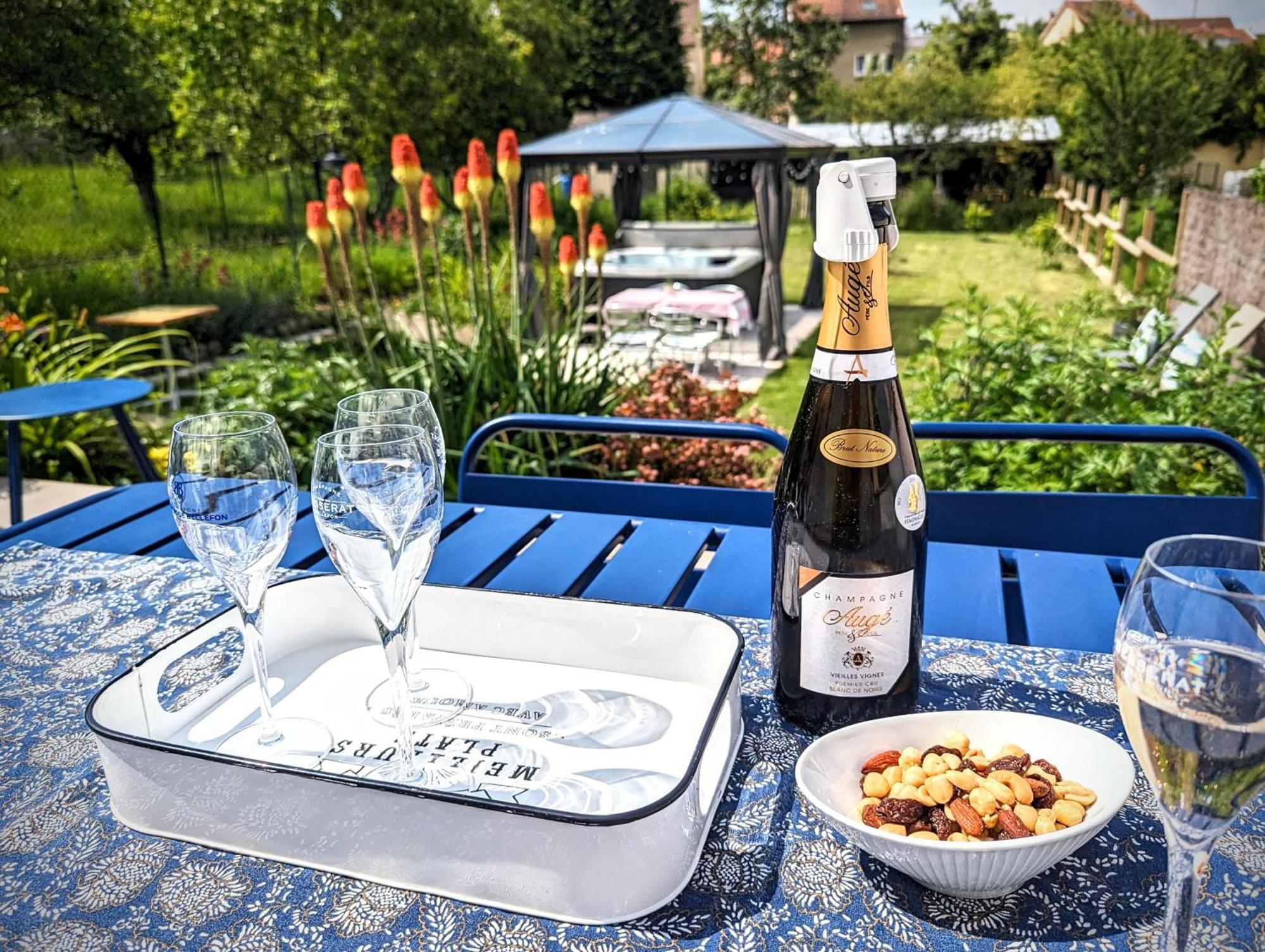 Le Cemarose: Spa, Jardin, Terrasse Et Jolie Vue Au Coeur D'Épernay Exterior foto